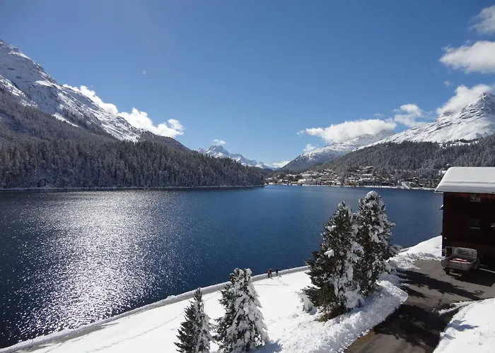 Appartement Chesa Anemona Al Lej By Interhome