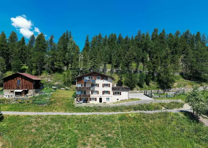 Chesa Anemona Al Lej By Interhome Appartement Saint-Moritz